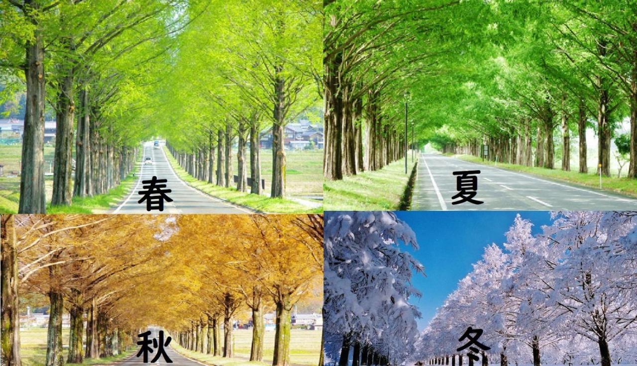 Roten Jacuzzi ・Morinoie In Metasequoia Namiki / Vacation Stay 3022 Takashima Ngoại thất bức ảnh